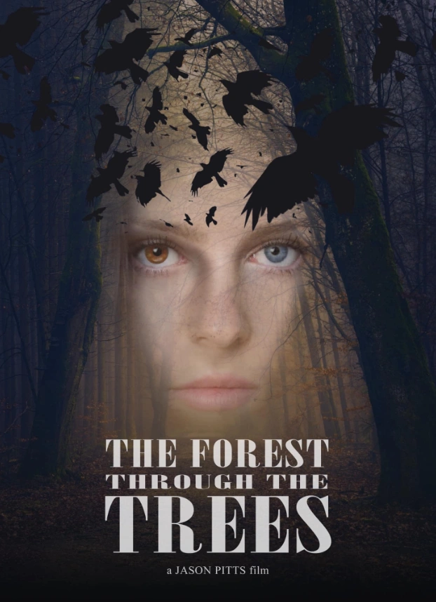 За деревьями леса не видно 2025